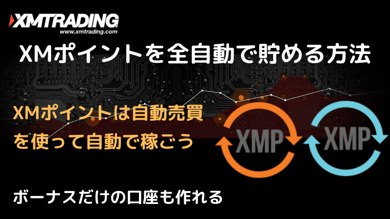 xmポイント