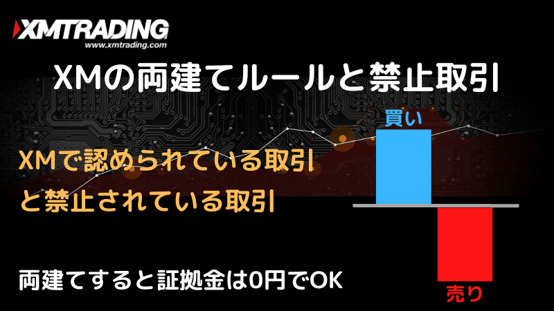 xm 両建て