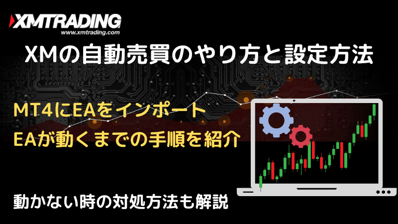 xm 自動売買 設定